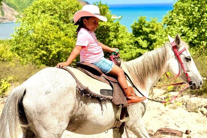St. Lucia Horseback Riding & Zip Lining Adventure Tour - Considering the Price