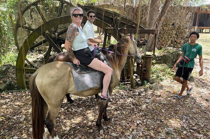 St. Lucia Horseback Riding & Zip Lining Adventure Tour - Summary: Who Will Love This Tour?
