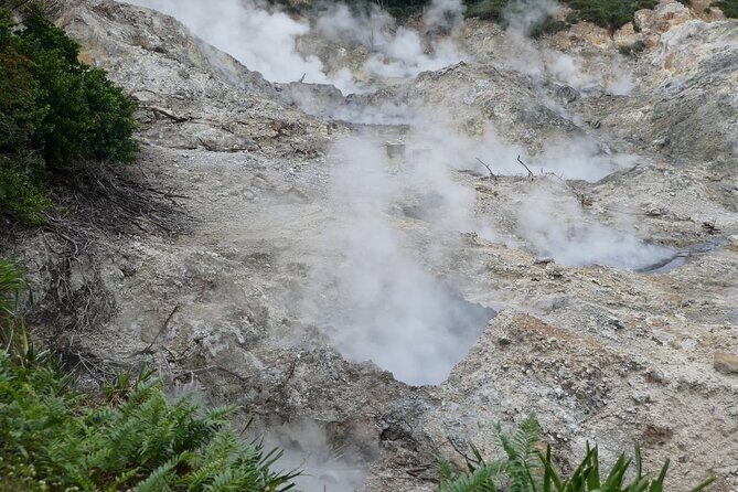 St Lucia Island Excursion Day Tour - What Travelers Say