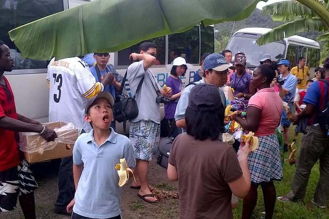 St. Lucia Land and Sea Tour - Tour Overview and Inclusions