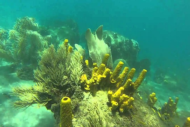 St Lucia Land Taxi to Snorkel at Anse Chastanet Beach - Inclusions for the Transfer and Snorkeling
