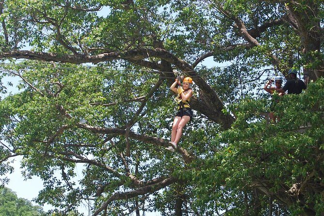 St. Lucia Morne Coubaril Estate Zipline Experience - Who Will Love This Tour?