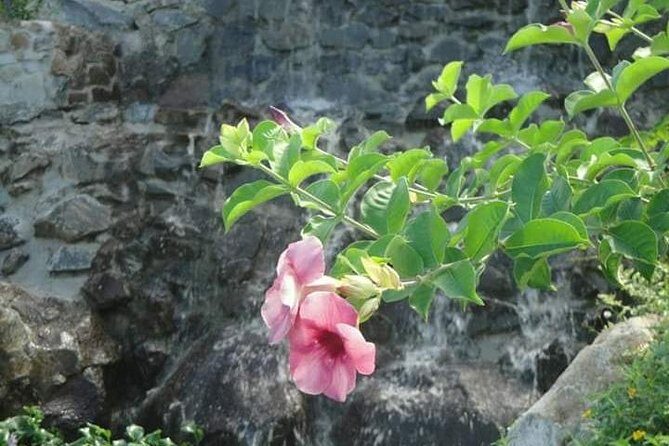 St Lucia Northern Island Tour - A Detailed Look at the St. Lucia Northern Island Tour