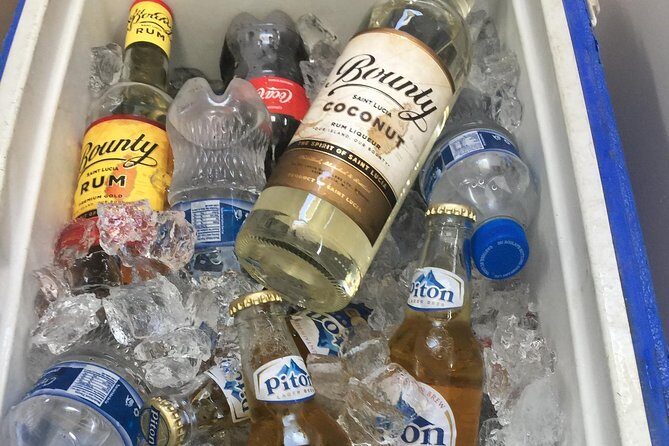 St. Lucia Private Boat Tour, Mud Bath, Waterfall & Beach Time - Who Will Love This Tour?