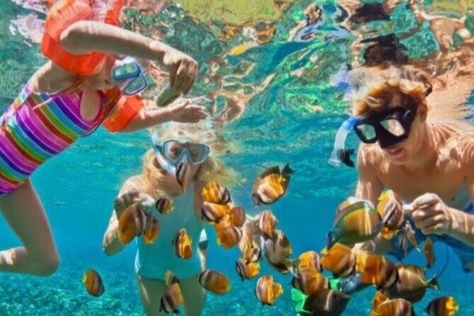 St Lucia Private Boat Tour/Sightseeing/Snorkeling - Value and Cost Analysis