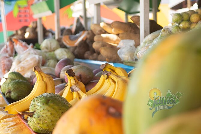 St. Lucia Private Family Tours - VIP ONLY - Reviews and Ratings