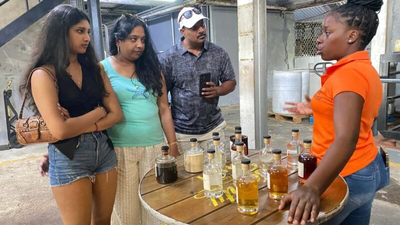St. Lucia: Rum Distillery and Chocolate Making Experience - An Introduction to the Tour