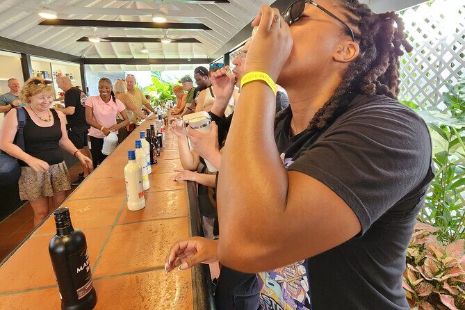 St Lucia Rum Distillery Tour & Mineral Bath Excursion - Starting with a Taste of Local Culture and Views