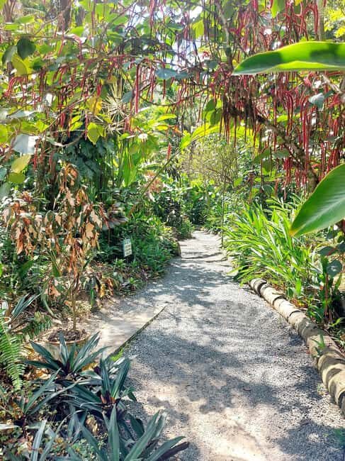 St. Lucia: Scenic Nature Hike & Botanical Garden Escape - An Introduction to the Tour Experience