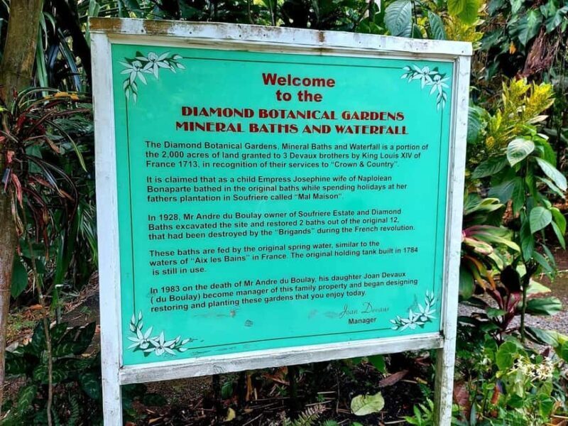 St. Lucia: Scenic Nature Hike & Botanical Garden Escape - What Travelers Can Expect