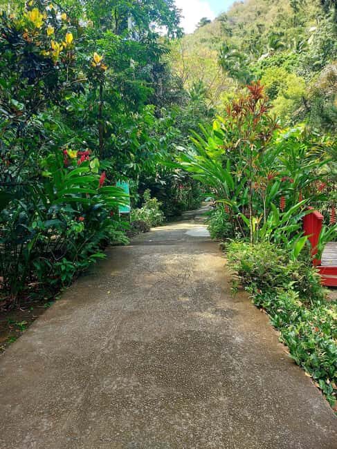 St. Lucia: Scenic Nature Hike & Botanical Garden Escape - Transportation, Duration, and Practical Details