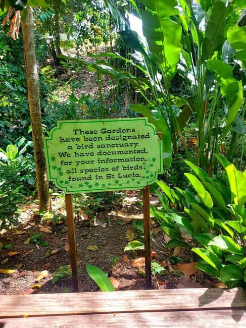 St. Lucia: Scenic Nature Hike & Botanical Garden Escape - The Sum Up