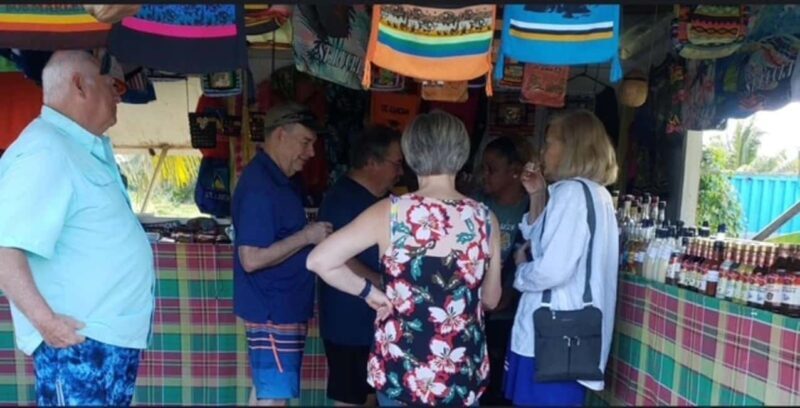 St. Lucia: Sightseeing, Rum tasting, and Shopping Tour - Who Will Love This Tour?