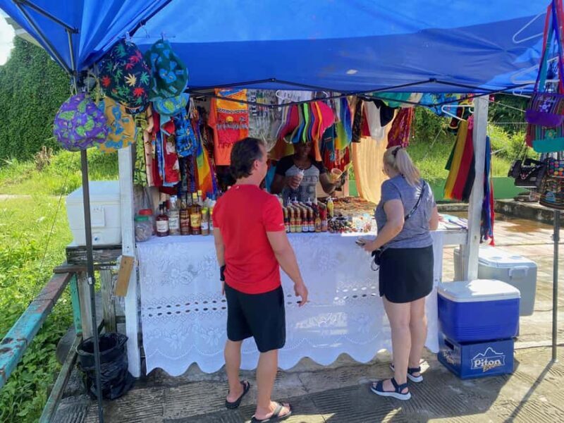 St. Lucia: Sightseeing, Rum tasting, and Shopping Tour - Who Should Consider Other Options?