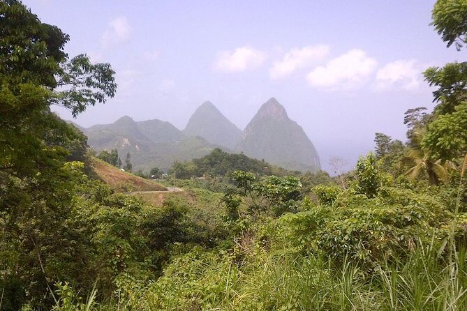 St. Lucia Tet Paul Nature Trail Tour - Exploring the St. Lucia Tet Paul Nature Trail Tour: A Balanced Look
