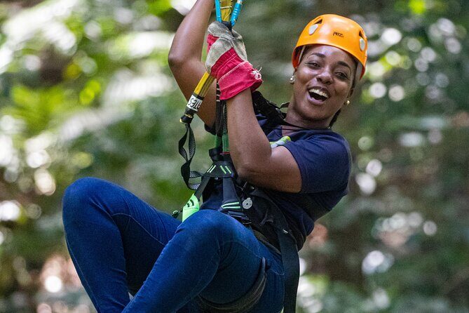 St Lucia Ultimate 3: Aerial Tram, Zipline and Hiking at Rainforest Adventures - The Bottom Line