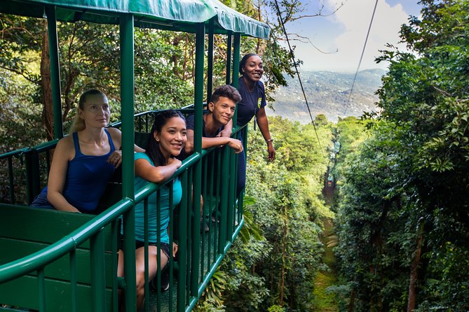 St Lucia Ultimate 3: Aerial Tram, Zipline and Hiking at Rainforest Adventures - Tour Inclusions and Amenities