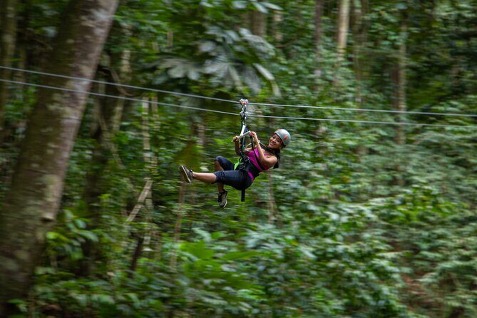 St Lucia Ultimate 3 Package: Aerial Tram, Zipline and Hiking - Practical Tips for Participants