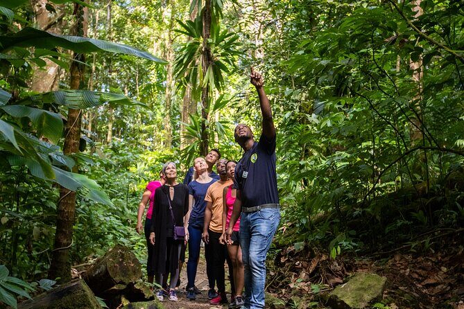 St Lucia Ultimate 3 Package: Aerial Tram, Zipline and Hiking - Authentic Experiences and Reviews