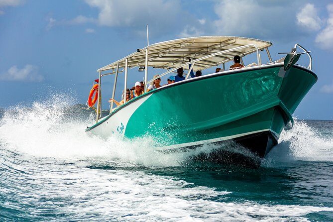 St Maarten Motorboat Cruise: Long Bay, Creole Rock and Tintamarre Island - Who Will Love This Tour?