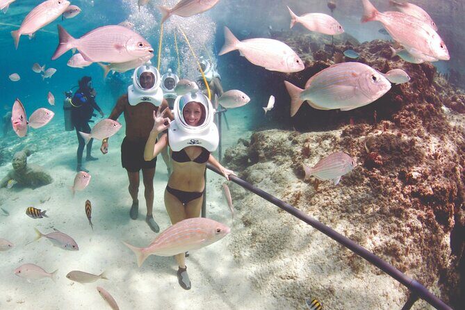 St Maarten SeaTrek and Snorkeling Adventure - Who Will Love This Experience?