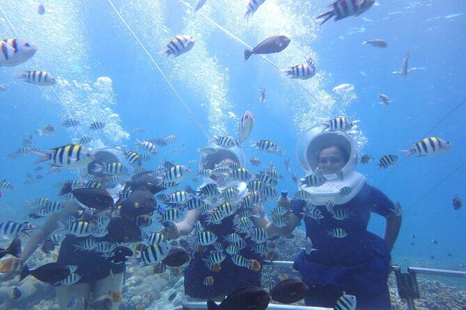 St Maarten SeaTrek and Snorkeling Adventure - FAQs