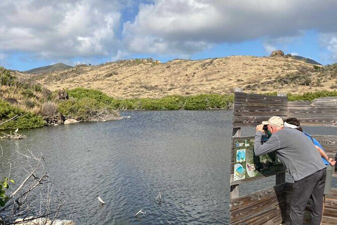 St.Martin - St.Maarten: Small Group, Birding Tour / Bird Watching Tour - Why This Tour Is Worth Your While