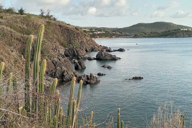 St.Martin - St. Maarten: Small Group, Coastal Hike & Swim Tour - Who Will Love This Tour?