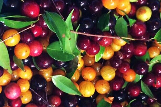 St.Martin - St.Maarten: Small Group, Culinary Food Tour - Key Points