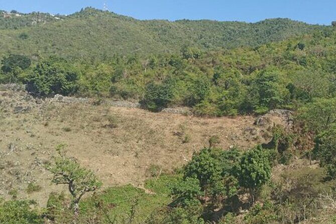 St.Martin - St.Maarten: Small Group, Cultural Heritage Tour - Analyzing the Value