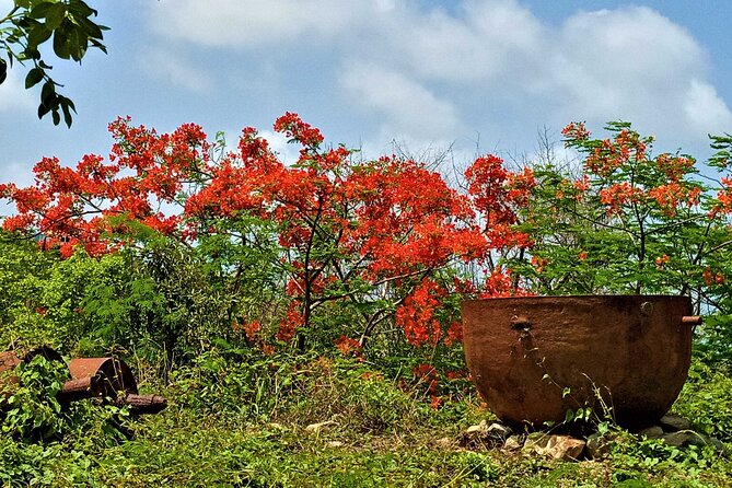 St. Martin - St. Maarten: Small Group, History Tour - Accessibility Considerations