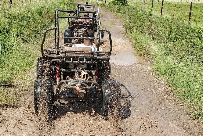 St. Mary's Mud Buggy Experience - Who Should Consider This Tour?