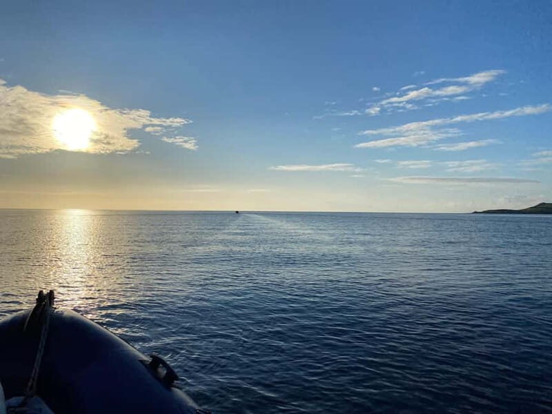 St Mawes: Two hour RIB Tour - The Sum Up