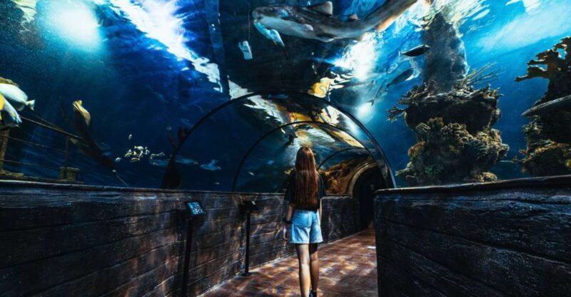St Paul's Bay: Malta National Aquarium Entry Ticket - An In-Depth Look at the Malta National Aquarium