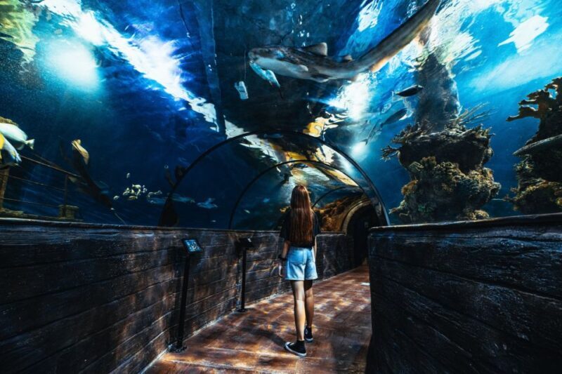 St Paul's Bay: Malta National Aquarium Entry Ticket - FAQ