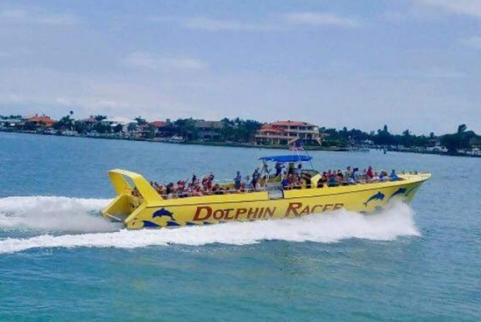 St. Pete Beach: Dolphin Racer Cruise by Speedboat - Spotting Wild Dolphins