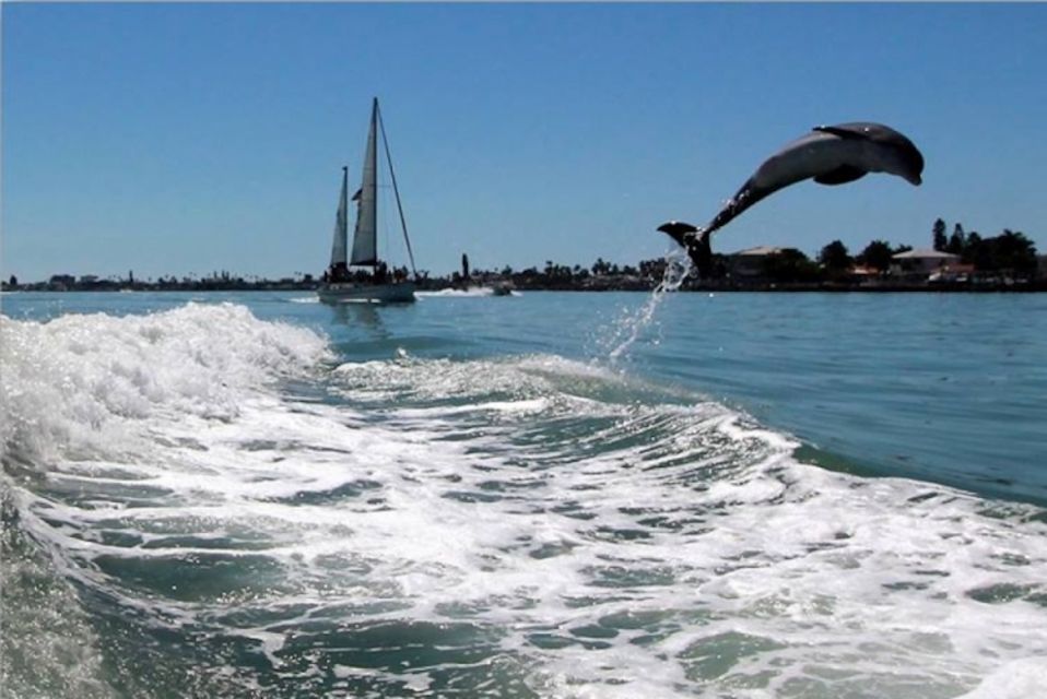 St. Pete Beach: Dolphin Racer Cruise by Speedboat - Narration by Captain
