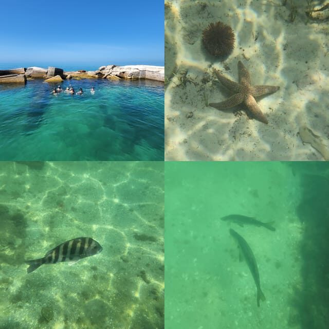 St Pete Beach: Private Boat tour for watersports snorkeling - Final Thoughts