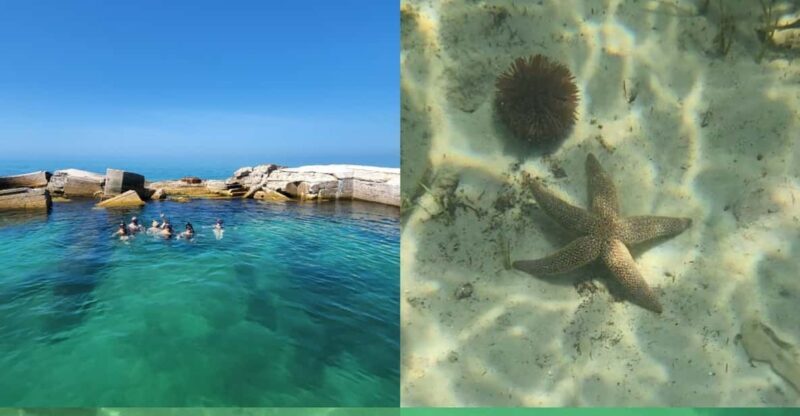 St Pete Beach: Private Boat tour for watersports snorkeling - FAQ