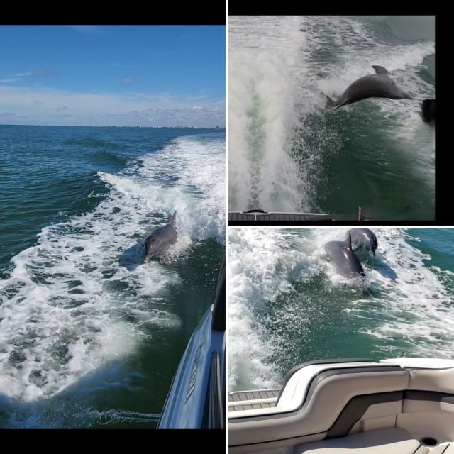 St Pete Beach: Private Boat Tour for Watersports Snorkeling - Preparation and Arrival