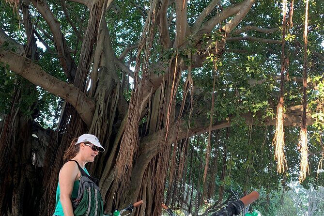 St Pete Ebike Tour with Lunch - Key Points