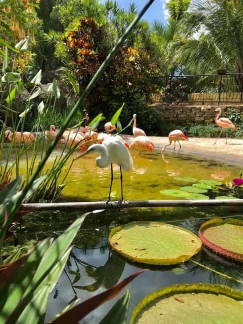 St. Petersburg: Eco Segway Tour with Sunken Gardens - An Overview of the Experience