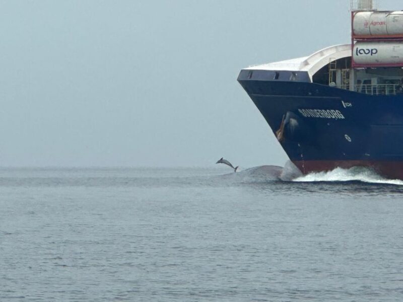 St. Petersburg, FL: 3-Hour Eco Tour with Island Hopping - FAQ