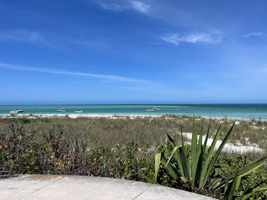 St. Petersburg, FL: 4-Hour Catamaran Cruise to Egmont Key - Observing the Native Wildlife