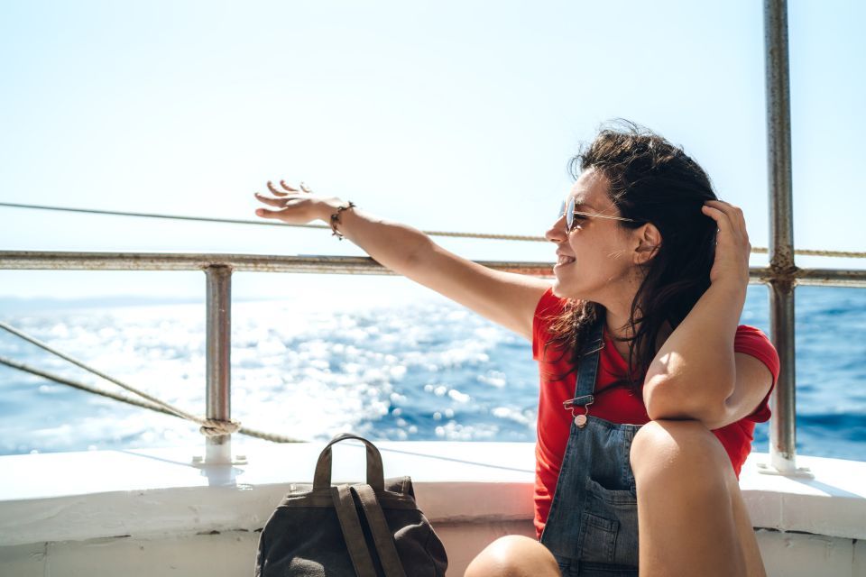 St. Petersburg, FL: Private 2-Hour Dolphin Watching Cruise - Highlights of the Cruise