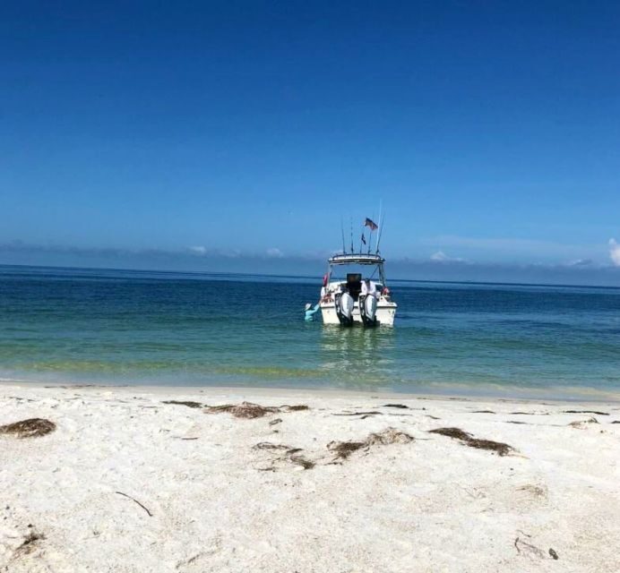 St. Petersburg, FL: Private 5-Hour Egmont Key Boat Tour - Introduction: Why This Tour Might Be Just What Youre Looking For