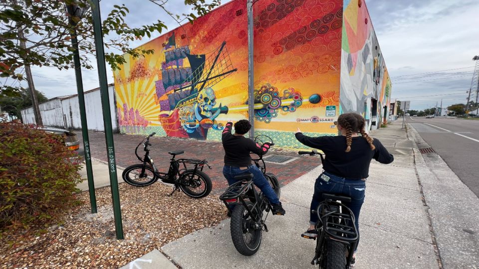 St. Petersburg, FL: Sightseeing & Murals Electric Bike Tour - Iconic Dali Museum