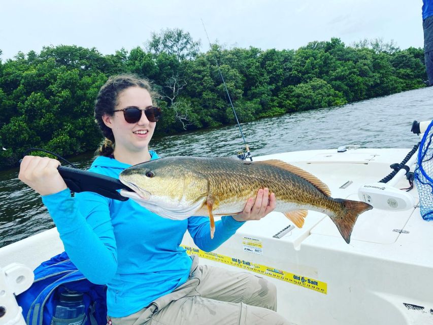 St. Petersburg, FL: Tampa Bay Private Inshore Fishing Trip - Fish Species and Features