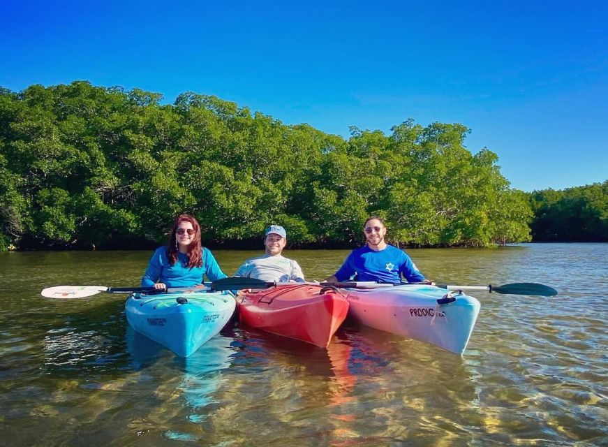 St. Petersburg, FL: Weedon Island Kayak Tour - Key Points