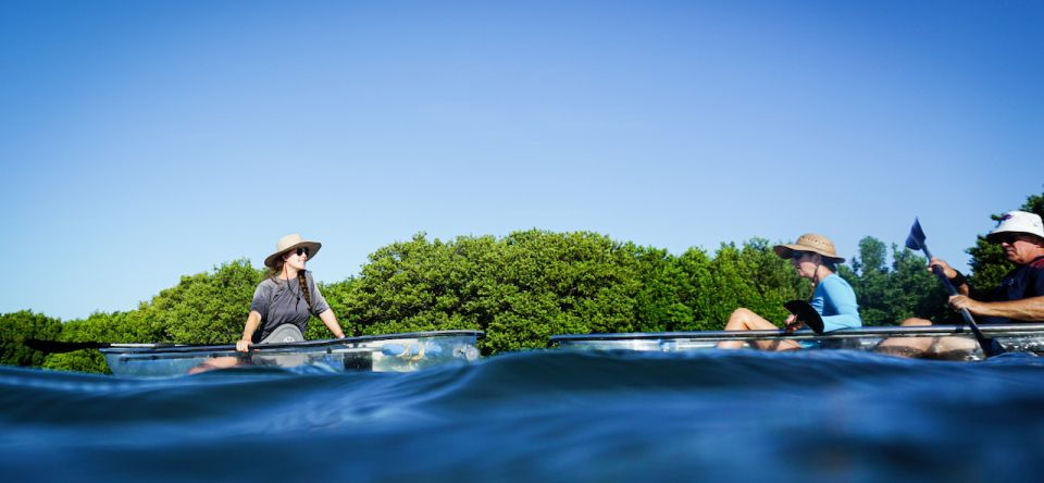 St. Petersburg, FL: Weedon Island Kayak Tour - Group Size and Inclusions